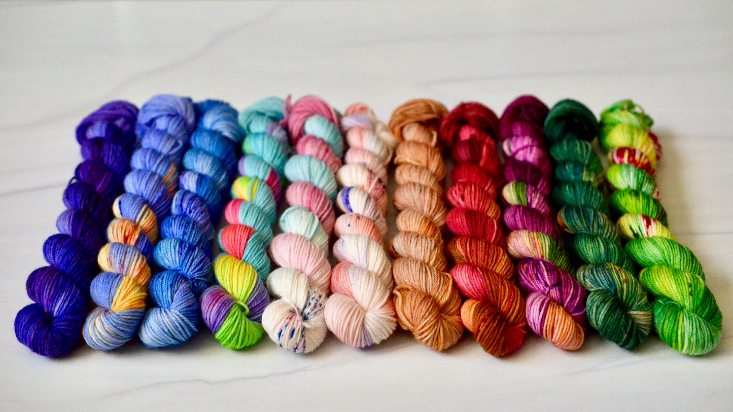 Disneyland Collection [mini skein set]